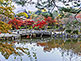 Maruyama Park In Kyoto