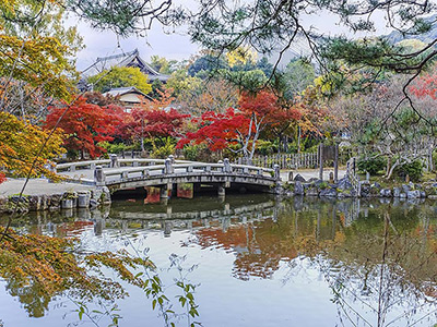 Maruyama Park