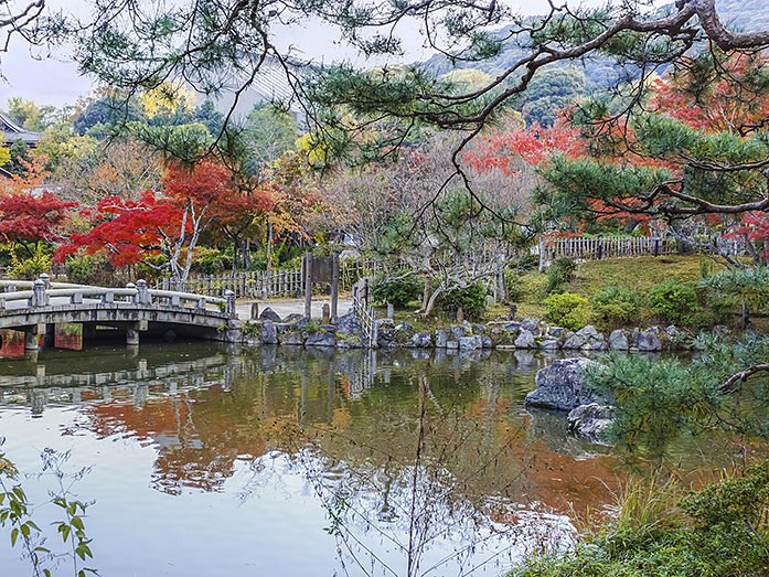 Maruyama Park in Autmun in Kyoto