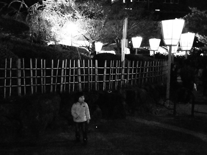 Maruyama Park Night Atmosphere