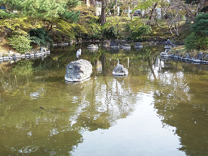 Pond with Maruyama Park in Kyoto