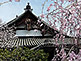 Myoho-in Temple In Kyoto