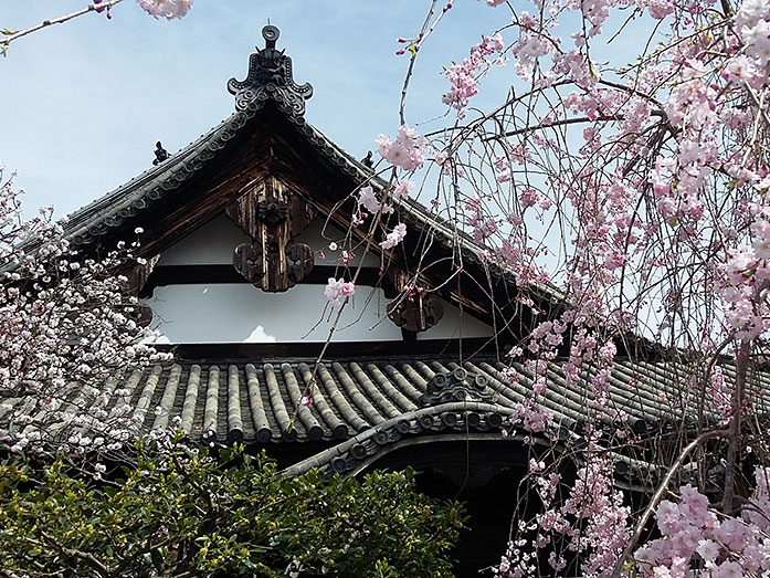 Kuri of Myoho-in Temple in Kyoto