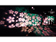 Illumination Nijo Castle in Kyoto