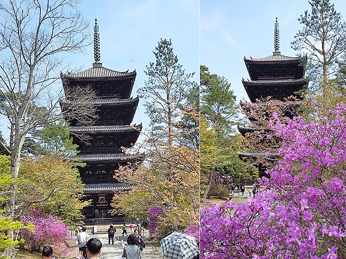 Five-Storied Pagoda Ninnaji Temple