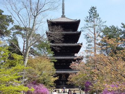 Five-Storied Pagoda of Ninnaji Temple in Kyoto