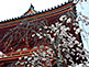 Syoro Belfry Ninnaji Temple