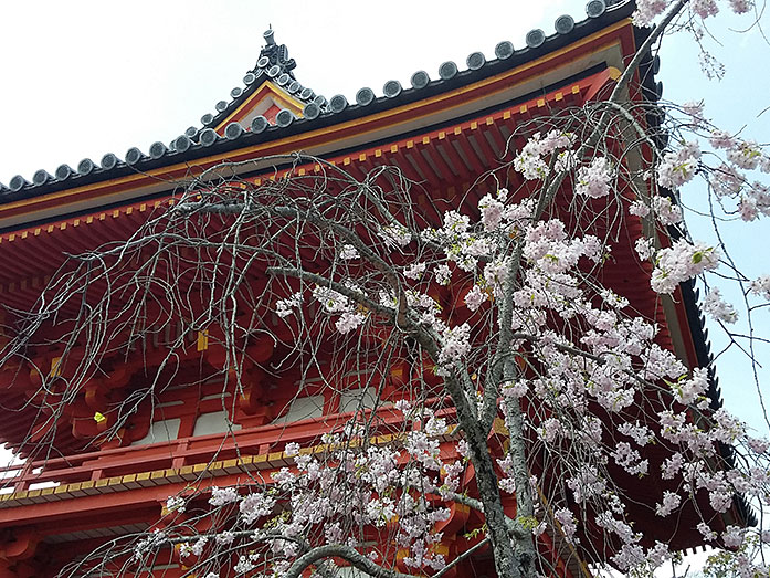 Syoro Belfry Ninnaji Temple