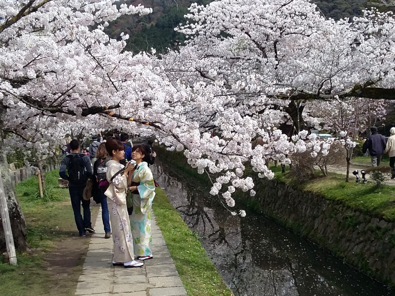 Philosopher's Path Woman Wearing Kimonos