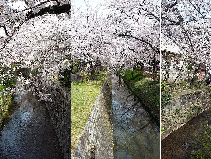 Philosopher's Walk In Kyoto