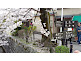 Philosopher's Path in Kyoto