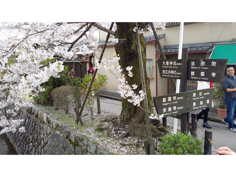 Philosopher's Path in Kyoto