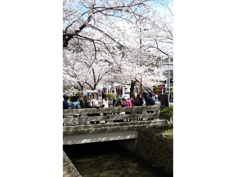 Philosopher's Path along Lake Biwa Canal