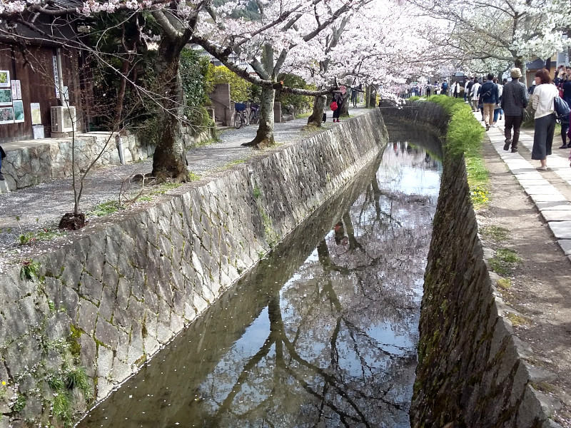 Philosopher's Walk In Kyoto