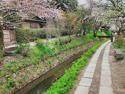 Philosopher's Path in Kyoto