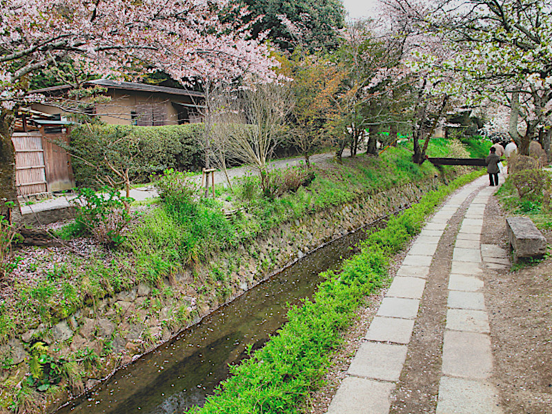 Philosopher's Walk In Kyoto