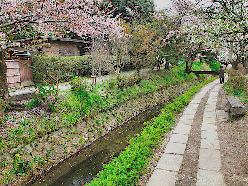 Philosopher's Path - Kyoto Travel Tips - Japan Travel Guide 