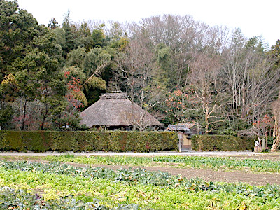 Rakushisha Residence in Arashiyama Kyoto