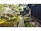 Reikan-ji Temple Garden in Kyoto