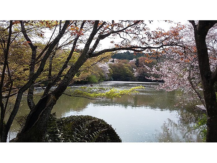 Kyoyochi Pond (Oshidori ike) of Ryoan-ji in Kyoto