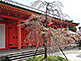 East Gate, Sanjusangendo Temple in Kyoto