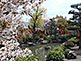 Pond, Sanjusangendo Temple in Kyoto