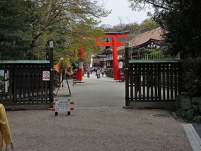 Torii Shikinen Sengu Ceremony