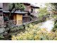 Shirakawa Canal in Kyoto