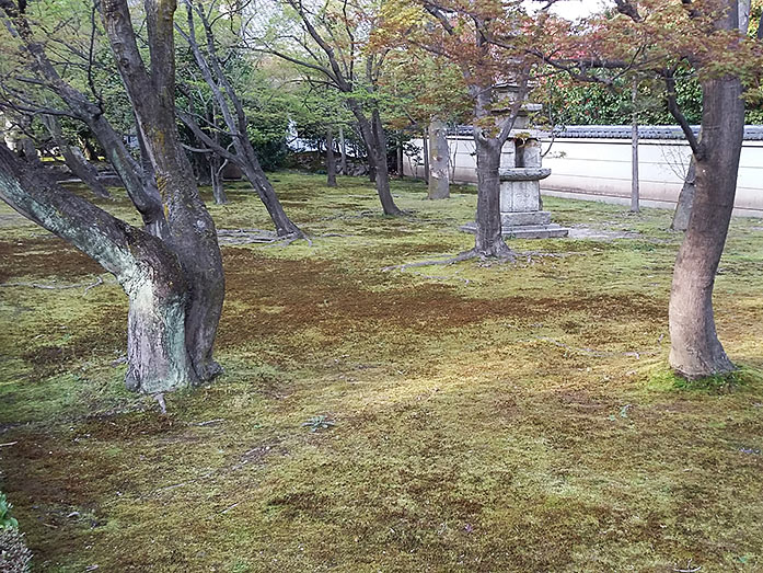Shokokuji Temple Grounds in Kyoto