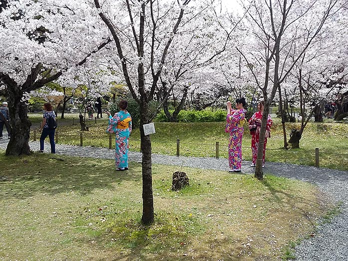 Woman Wearing Kimonos Shosei-en Garden in Kyoto