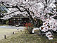 Shosei-en Garden In Kyoto