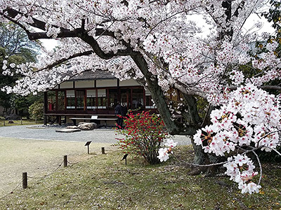 Shosei-en Garden In Kyoto