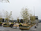 Rooftop Garden of Kyoto Station