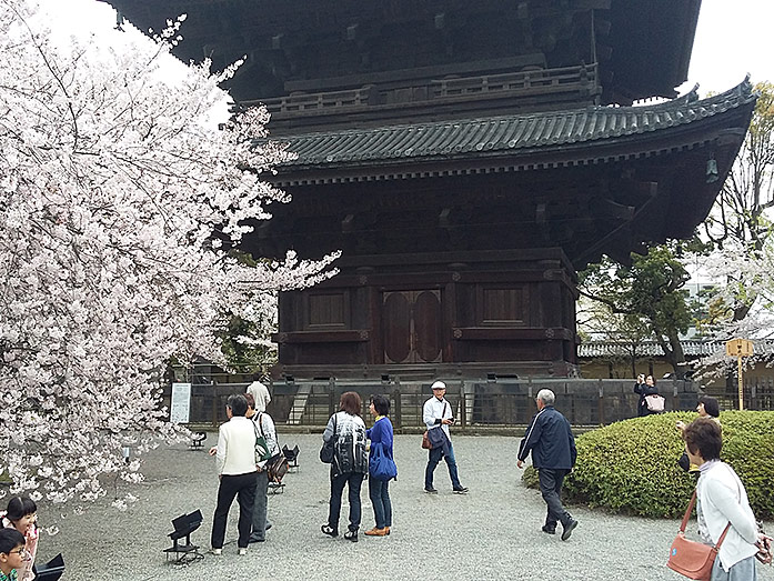 Pagoda Toji Temple in Kyoto