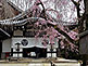 Yogen-in Temple In Kyoto