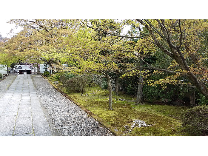 Yogen-in Temple Pathway to Kuri