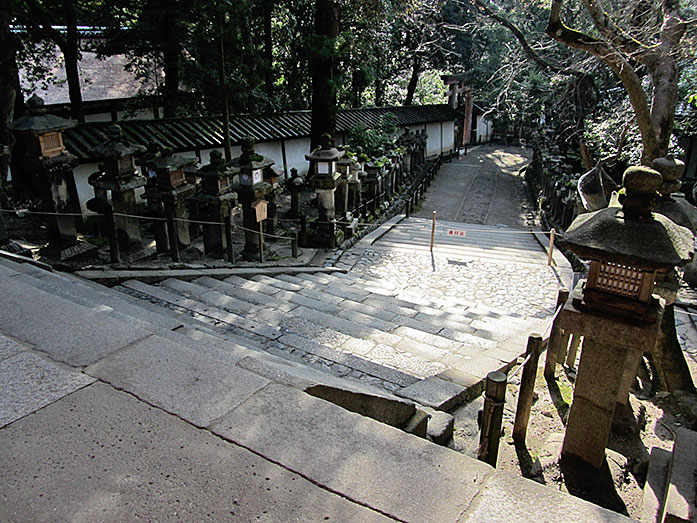 Path with Stone Lanterns to Kasuga Taisha Shrine