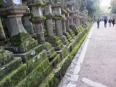 Kasuga Taisha Path in Nara