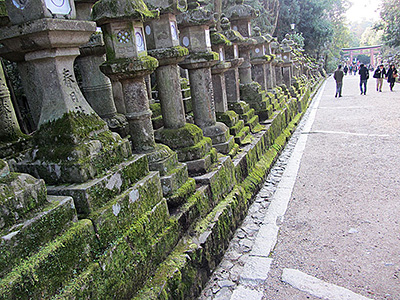 Kasuga Taisha Path