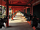 Bronze Lanterns Kasuga Taisha Shrine in Nara
