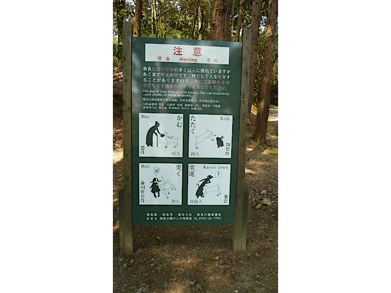 Nara Park Red Deer Warning Sign