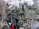Japan Forest at the Top Floor of KAIYUKAN Aquarium, Osaka
