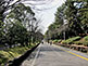Street leading to Hattori Ryokuchi Park in Osaka