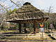 Takakura from Amami Oshima Island in Kagoshima in Hattori Ryokuchi Park