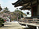 Hokoku-jinja Shrine in Osaka Castle Park