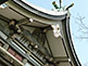 Roof of Hokoku-jinja Shrine in Osaka Castle Park