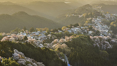 Mount Yoshino