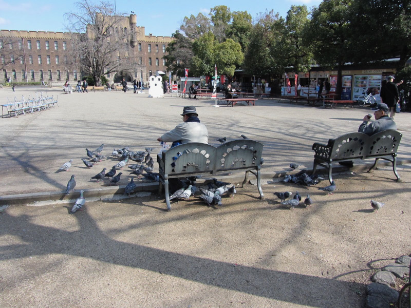 Feeding birds near Osaka Castle