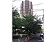 Motoazabu Hills Forest Tower in Tokyo