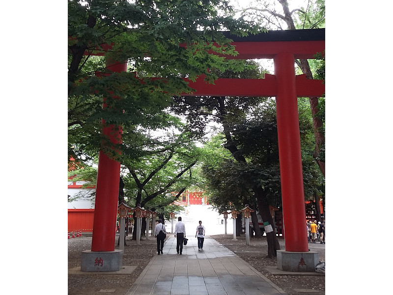 Torii Entrance Hanazono Shrine in Shinjuku